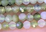 CTG1312 15.5 inches 3mm faceted round Australia chrysoprase beads