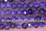 CTG1329 15.5 inches 2mm faceted round iolite beads wholesale