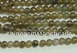 CTG133 15.5 inches 3mm round tiny labradorite gemstone beads wholesale