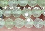 CTG1349 15.5 inches 5mm faceted round prehnite beads wholesale