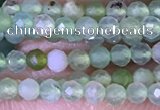 CTG1414 15.5 inches 2mm faceted round Australia chrysoprase beads