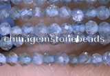 CTG1416 15.5 inches 2mm faceted round apatite beads wholesale