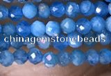 CTG1418 15.5 inches 2mm faceted round apatite beads wholesale