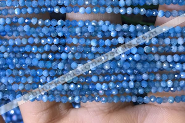 CTG1418 15.5 inches 2mm faceted round apatite beads wholesale