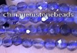 CTG1444 15.5 inches 2mm faceted round iolite beads wholesale