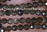 CTG1461 15.5 inches 2mm faceted round golden obsidian beads