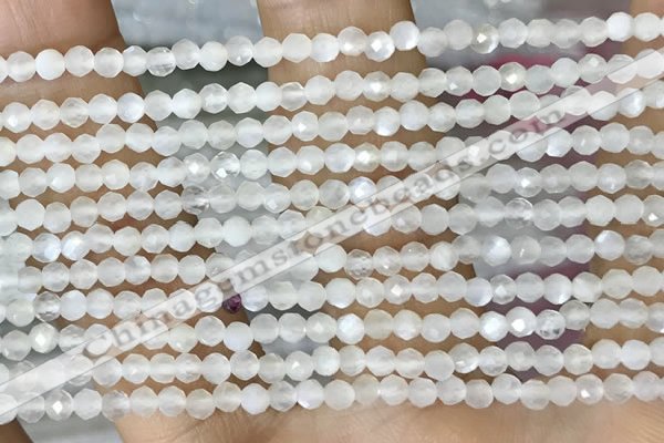 CTG1480 15.5 inches 3mm faceted round white moonstone beads