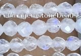 CTG1482 15.5 inches 3mm faceted round white moonstone beads