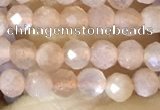 CTG1502 15.5 inches 3mm faceted round moonstone beads wholesale