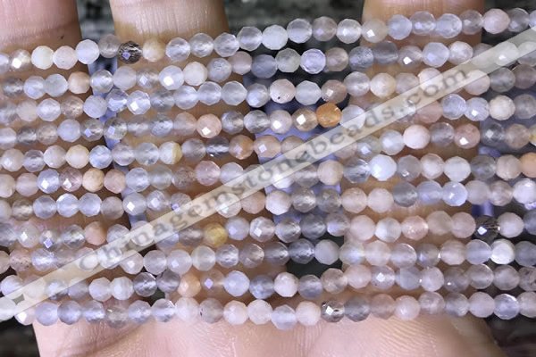 CTG1504 15.5 inches 3mm faceted round moonstone beads wholesale