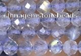 CTG1508 15.5 inches 3mm faceted round labradorite beads wholesale