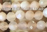 CTG1544 15.5 inches 4mm faceted round moonstone beads wholesale