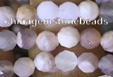 CTG1550 15.5 inches 4mm faceted round moonstone beads wholesale