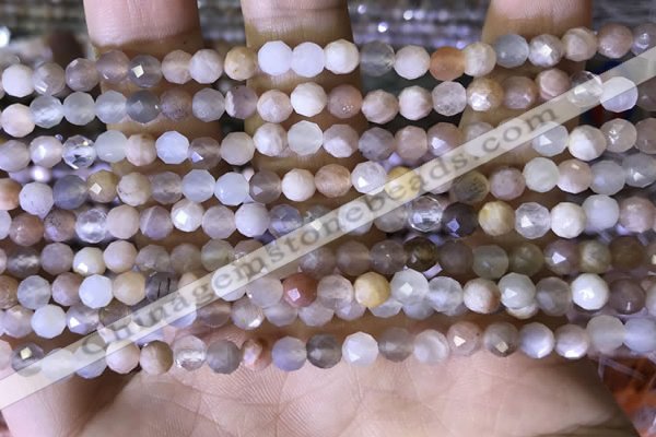 CTG1550 15.5 inches 4mm faceted round moonstone beads wholesale