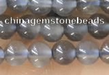 CTG1582 15.5 inches 4mm round grey moonstone beads wholesale