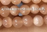 CTG1583 15.5 inches 4mm round moonstone gemstone beads wholesale