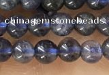 CTG1591 15.5 inches 4mm round iolite gemstone beads wholesale