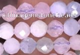 CTG1606 15.5 inches 4mm faceted round tiny morganite beads