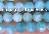 CTG1610 15.5 inches 5mm faceted round tiny amazonite beads