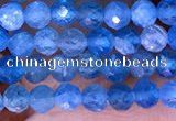 CTG1613 15.5 inches 3mm faceted round tiny apatite beads