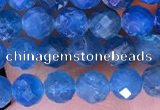 CTG1615 15.5 inches 4mm faceted round tiny apatite beads