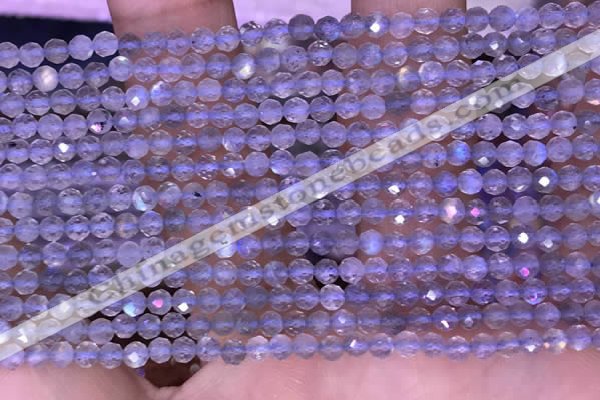 CTG1622 15.5 inches 3mm faceted round tiny labradorite beads