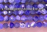 CTG1665 15.5 inches 2mm faceted round tiny sodalite beads