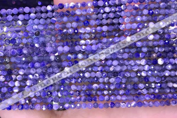 CTG1665 15.5 inches 2mm faceted round tiny sodalite beads