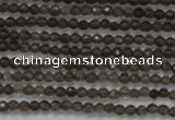 CTG200 15.5 inches 2mm faceted round tiny smoky quartz beads