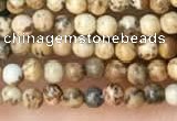 CTG2012 15 inches 2mm,3mm picture jasper beads