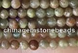 CTG2045 15 inches 2mm,3mm China unakite beads