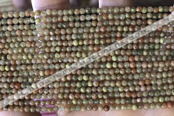 CTG2045 15 inches 2mm,3mm China unakite beads