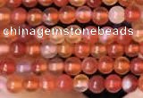 CTG2056 15 inches 2mm,3mm red agate gemstone beads