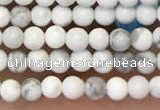 CTG2087 15 inches 2mm,3mm natural white howlite gemstone beads