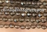 CTG2124 15 inches 2mm,3mm faceted round smoky quartz gemstone beads