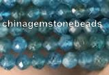 CTG2130 15 inches 2mm,3mm faceted round apatite gemstone beads