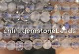 CTG2133 15 inches 2mm,3mm faceted round labradorite gemstone beads