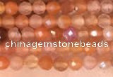 CTG2142 15 inches 2mm,3mm faceted round golden sunstone beads