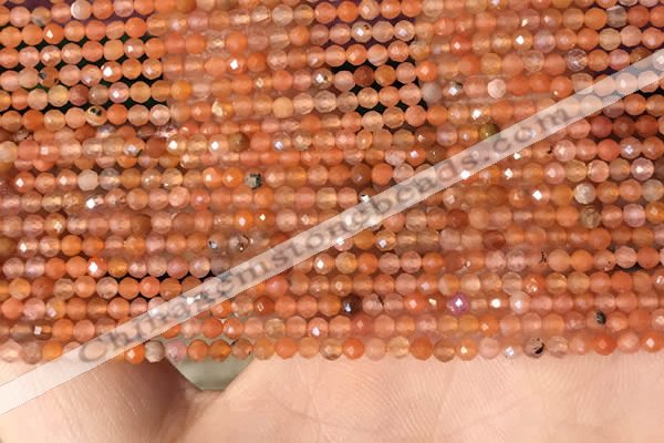 CTG2142 15 inches 2mm,3mm faceted round golden sunstone beads