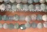 CTG2154 15 inches 2mm,3mm faceted round amazonite gemstone beads