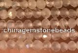 CTG2156 15 inches 2mm,3mm faceted round white moonstone beads