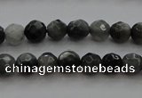 CTG216 15.5 inches 3mm faceted round tiny eagle eye jasper beads