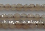 CTG218 15.5 inches 3mm faceted round tiny moonstone beads