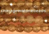 CTG2208 15 inches 2mm,3mm faceted round labradorite gemstone beads