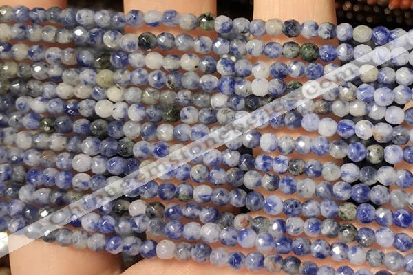CTG2216 15 inches 2mm,3mm faceted round sodalite gemstone
