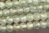 CTG2246 15 inches 2mm faceted round natural prehnite beads