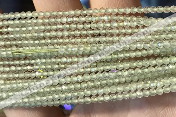 CTG2246 15 inches 2mm faceted round natural prehnite beads