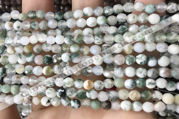 CTG2532 15.5 inches 4mm faceted round tree agate beads