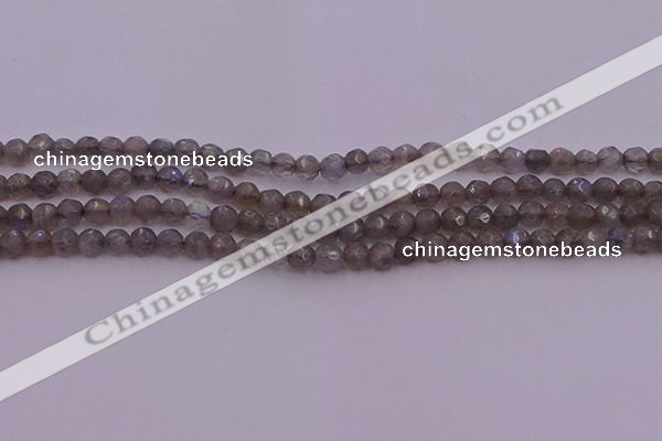 CTG509 15.5 inches 4mm faceted round tiny labradorite beads