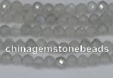 CTG613 15.5 inches 3mm faceted round labradorite beads